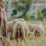 Wichtige Mitteilung: Schwesterntreff – Eid al-Adha und die Segnungen von 'Arafah